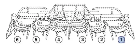 87664732 - храповый механизм